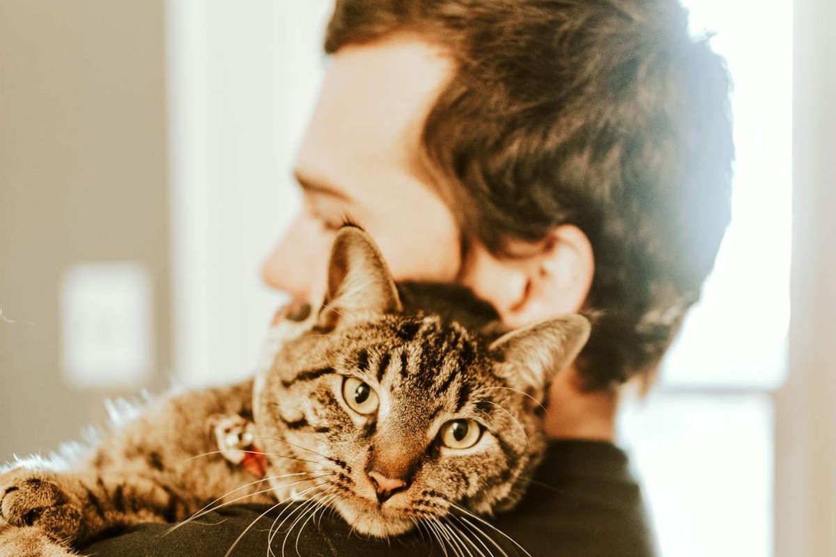 Ein Mann trägt eine getigerte Katze auf der Schulter
