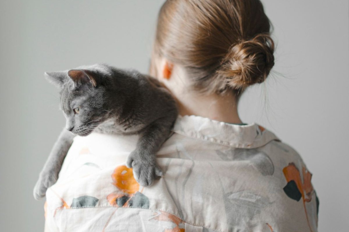 Eine graue Katze liegt über der Schulter eines Mädchens, das von hinten zu sehen ist